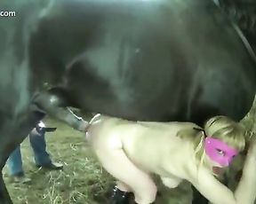 Русская блондинка встала раком для секса с конем. Zoo team Russia