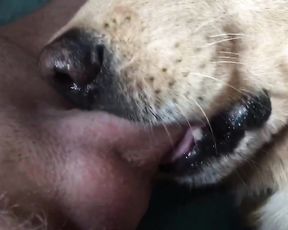 Парень дал собаке хуй в рот пососать, zoo xxx