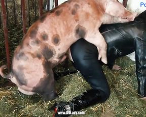 Порно с кабаном девушки Yasmin, k9 lady