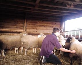 Колхозный дрочер зоофил развлекается с баранами, зоо порно видео