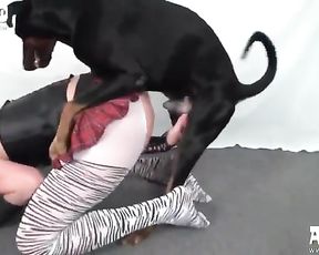 Artofzoo porn - Блондинку с пирсингом трахает собака доберман