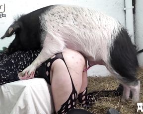 Кабан трахает девушку, порно зоо с животным