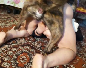 Русский секс девушки с собакой дома от team russia