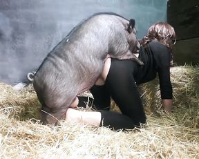 Boar and girl porn on the farm k9 lady