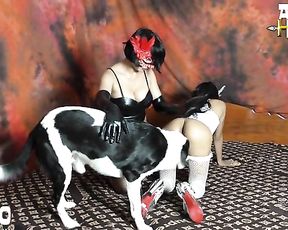 Tigerlily and Tink - Strict Machine. ZooSkool bestiality Videos