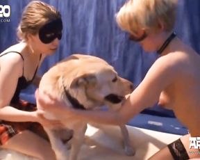 Doble delight artofzoo porn girls Claudia, Susan and dog