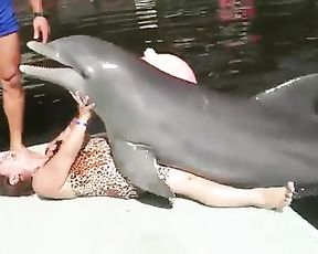 Порно с дельфином - реальное зоо ххх видео женщины с дельфина