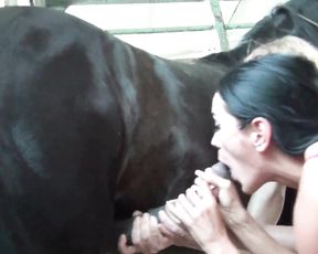 Кристина и Маша Котиева трахаются с конем. Teamrussia zoo porno
