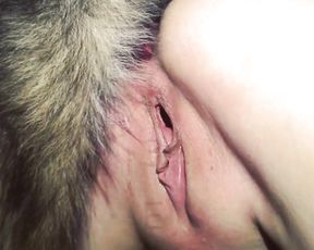 Собака ебет телочку в жопу, анальное зоо порно и минет