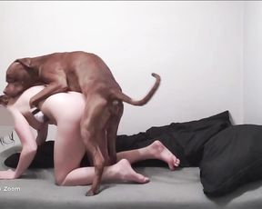 Аматорское зоо порно ирландской мамки с собакой